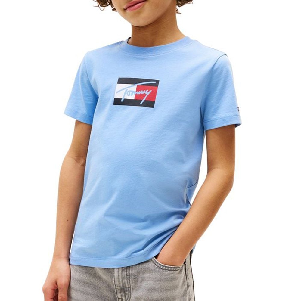 Tommy Hilfiger T-shirt