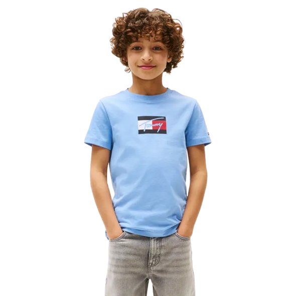 Tommy Hilfiger T-shirt